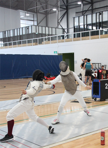 fencing picutre